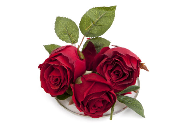 Red Roses Fragrance Plate Be Enlightened.